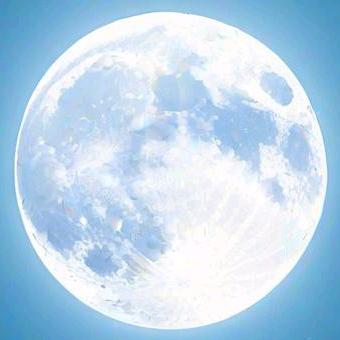 白月光与朱傻子