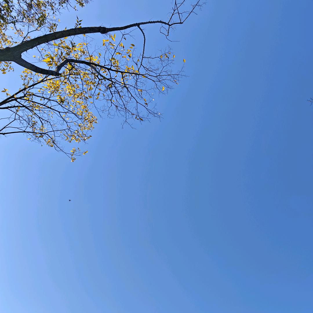 芳～