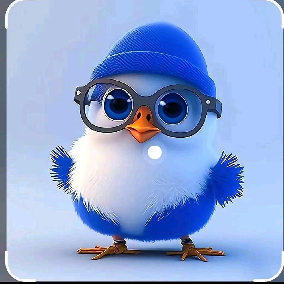 爱钓鱼的张先生