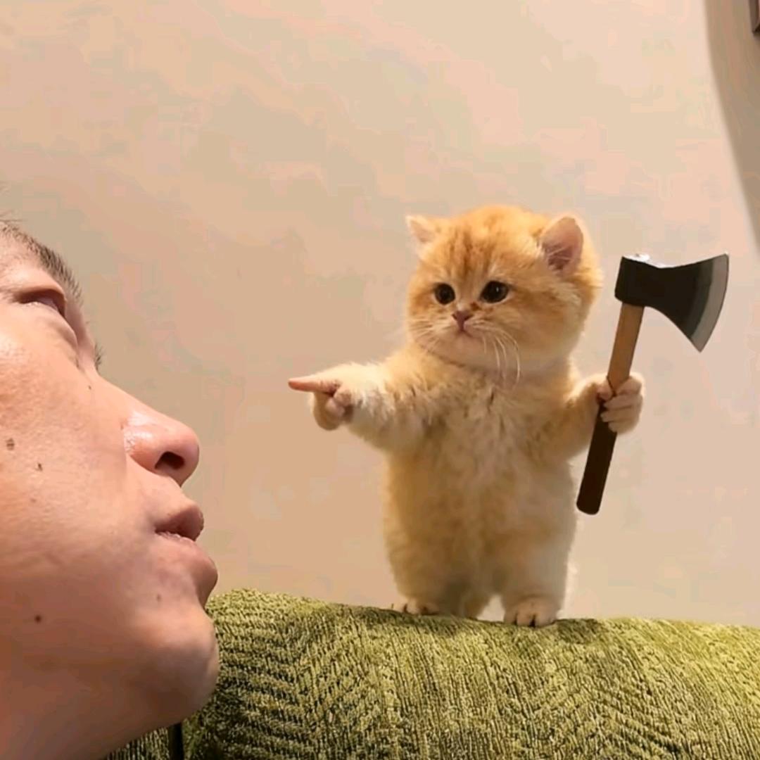 癞蛤蟆吃不到天鹅肉.