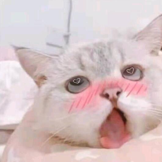 10月^O^