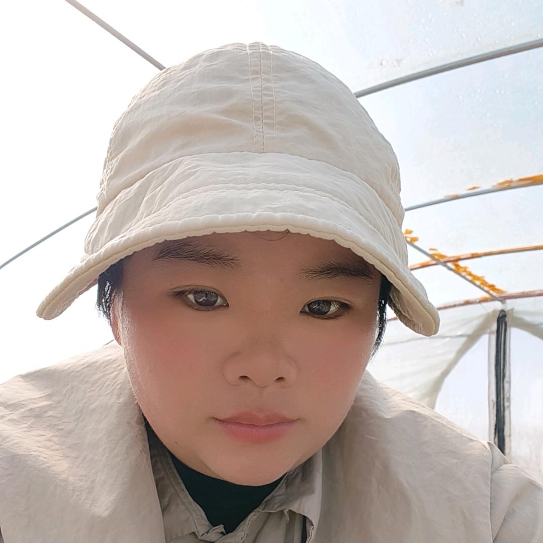 金多多