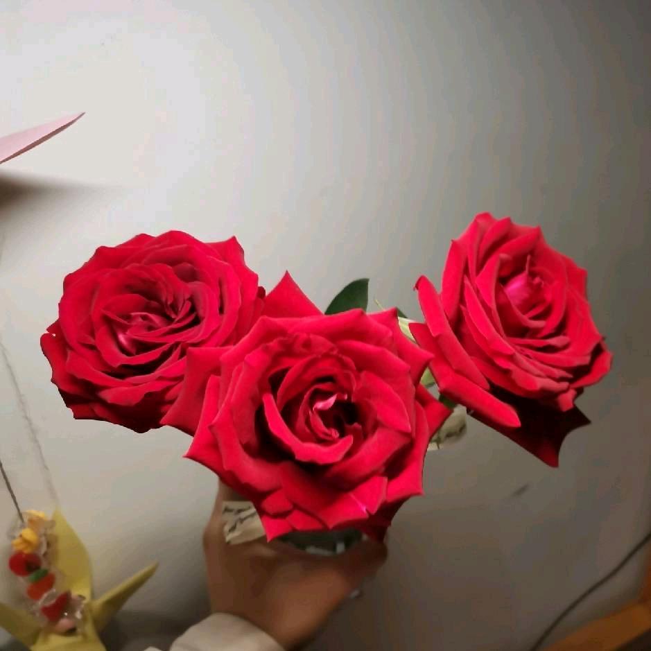 诚若我爱我家《拒绝私聊》 (拒绝连点)