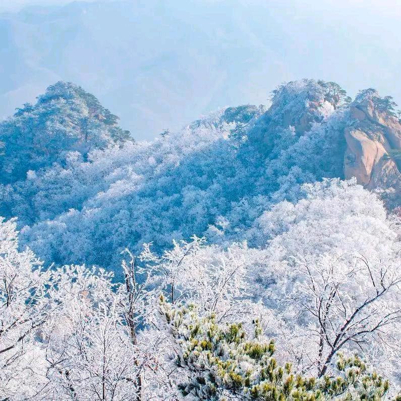 千山暮雪