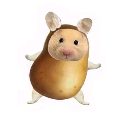 九戮