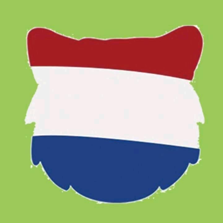 大猫精酿啤酒-斑斑猫