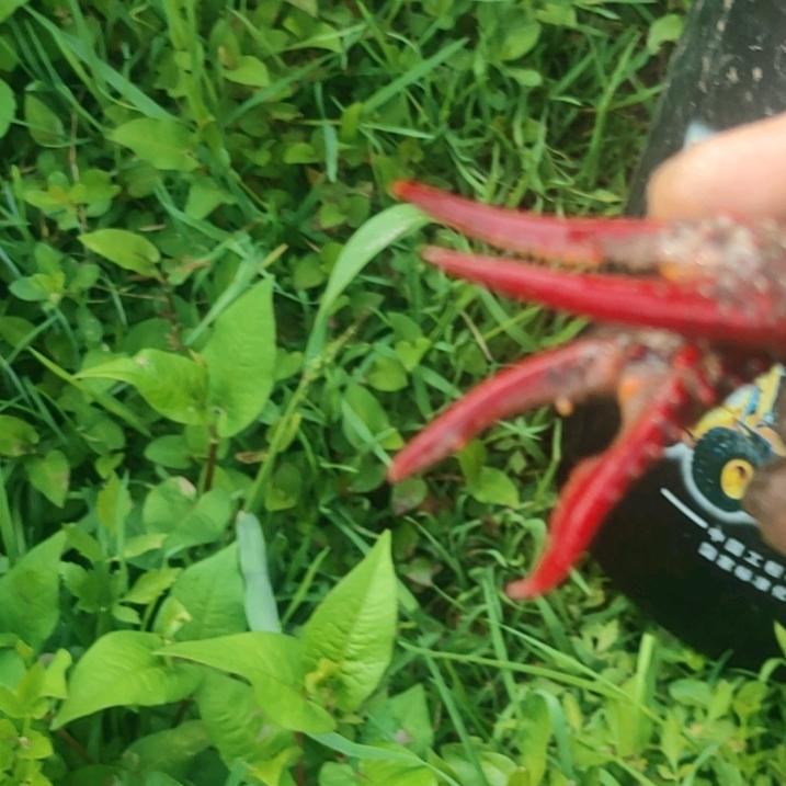 看世界