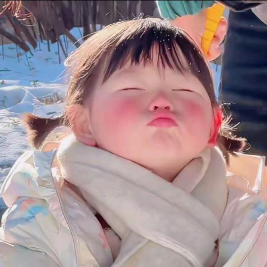 楠小宝