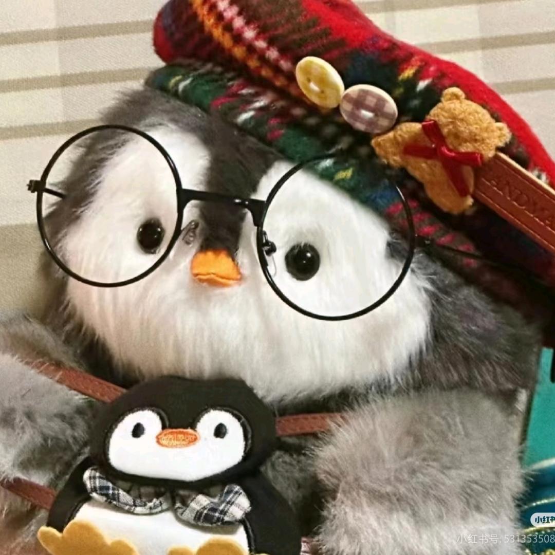 六角₍˄·͈༝·͈˄*₎◞ ̑̑