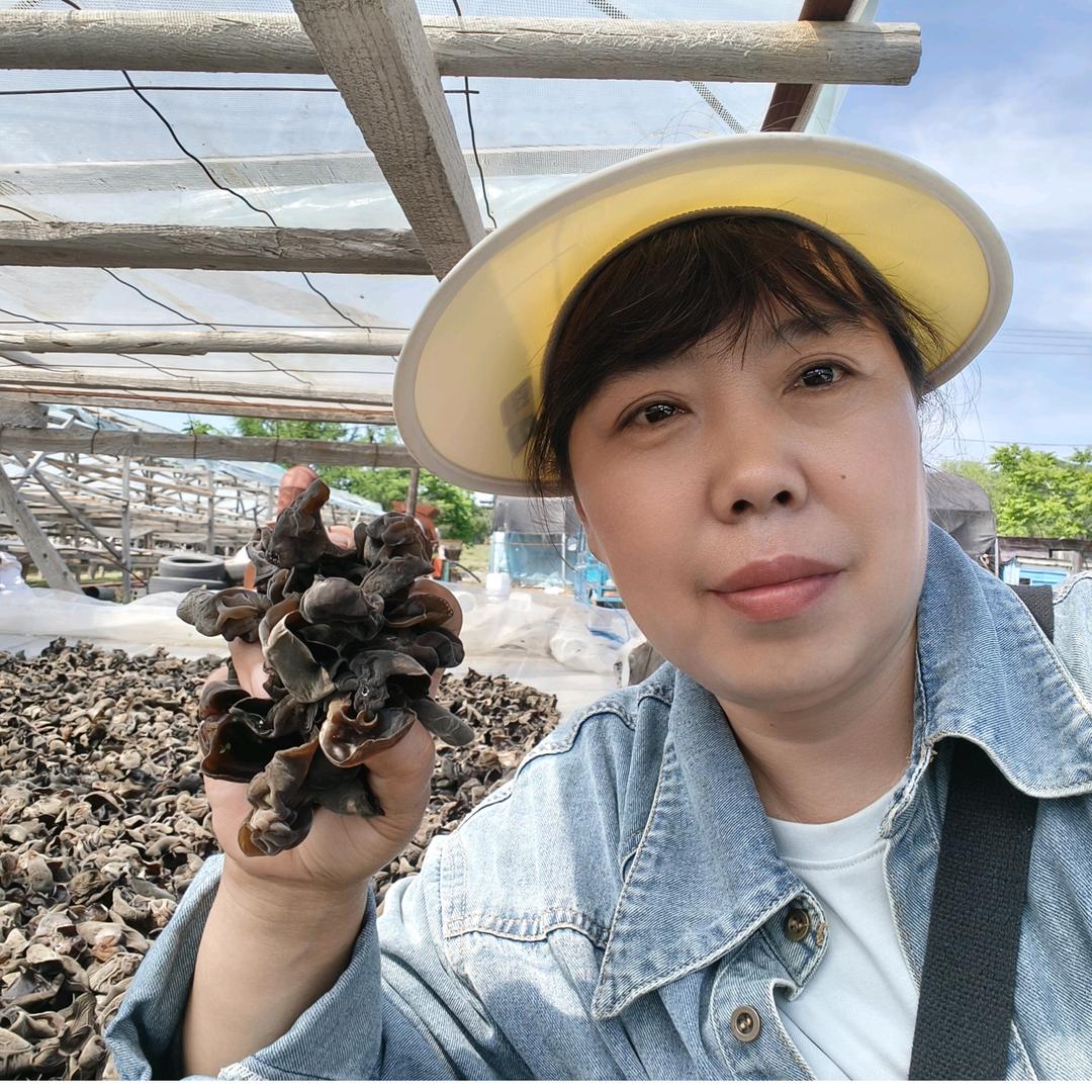 林区温暖