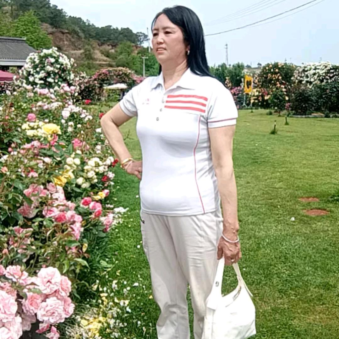 玫瑰花瓣