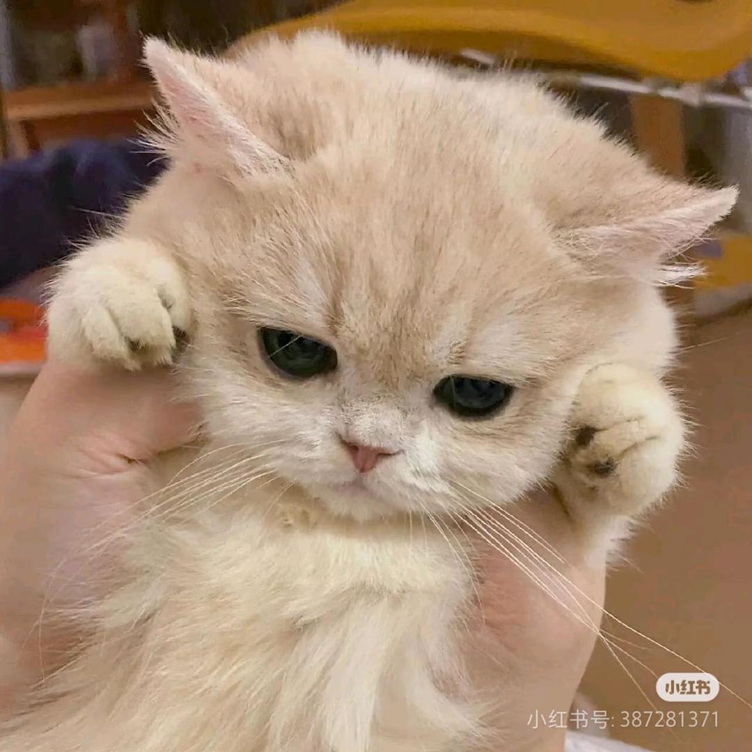 矿大任老师