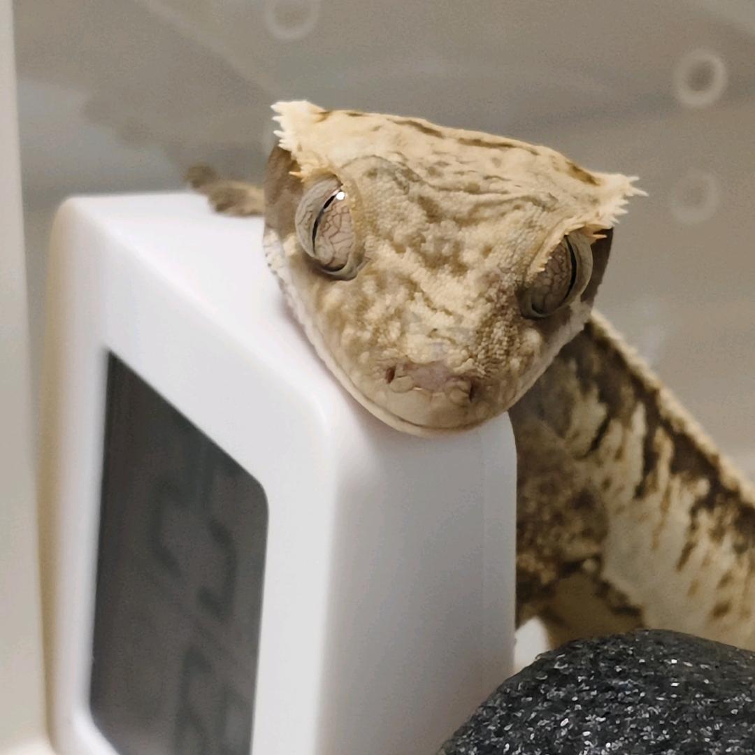 鱼欣同行᧕
