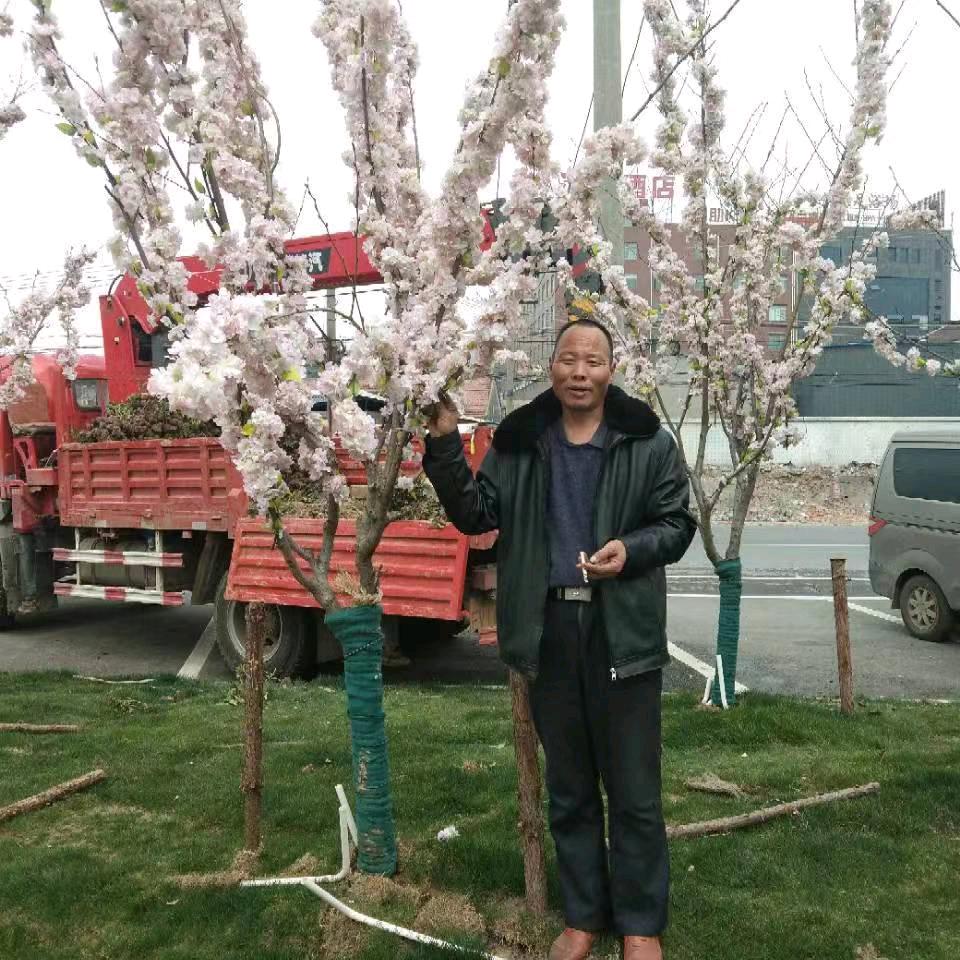 7O后老耿哥来了