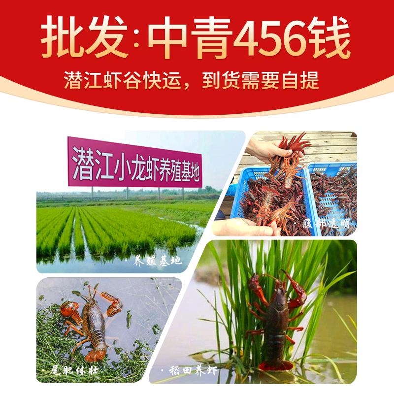 倍鲜岛生鲜大闸蟹小龙虾全国批发