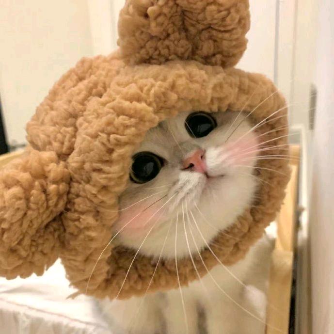 竹子瑞