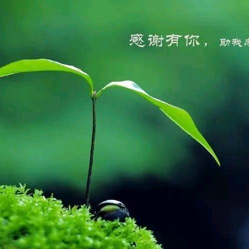 缘分天空爱音乐🎶