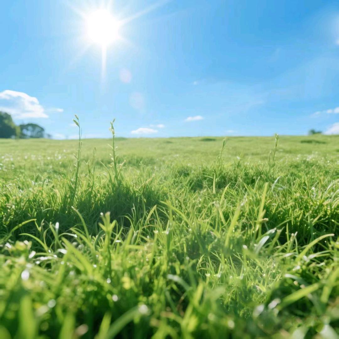 🔥珍惜现在🔥