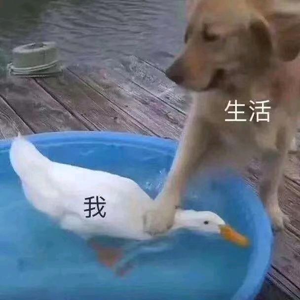 重头在来