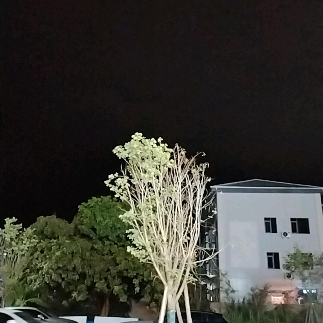 宏光满面