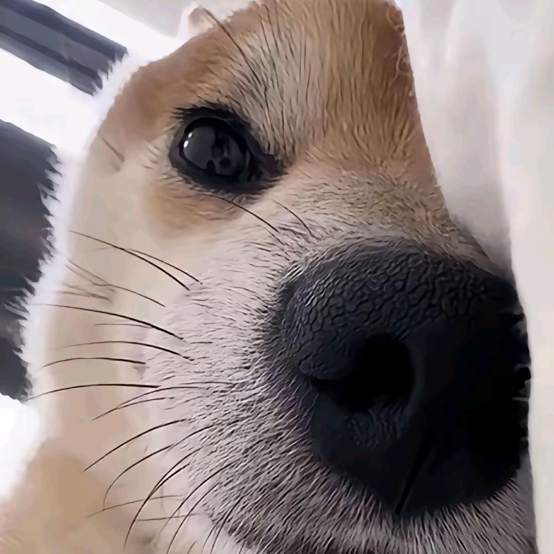 太阳被我吃掉了