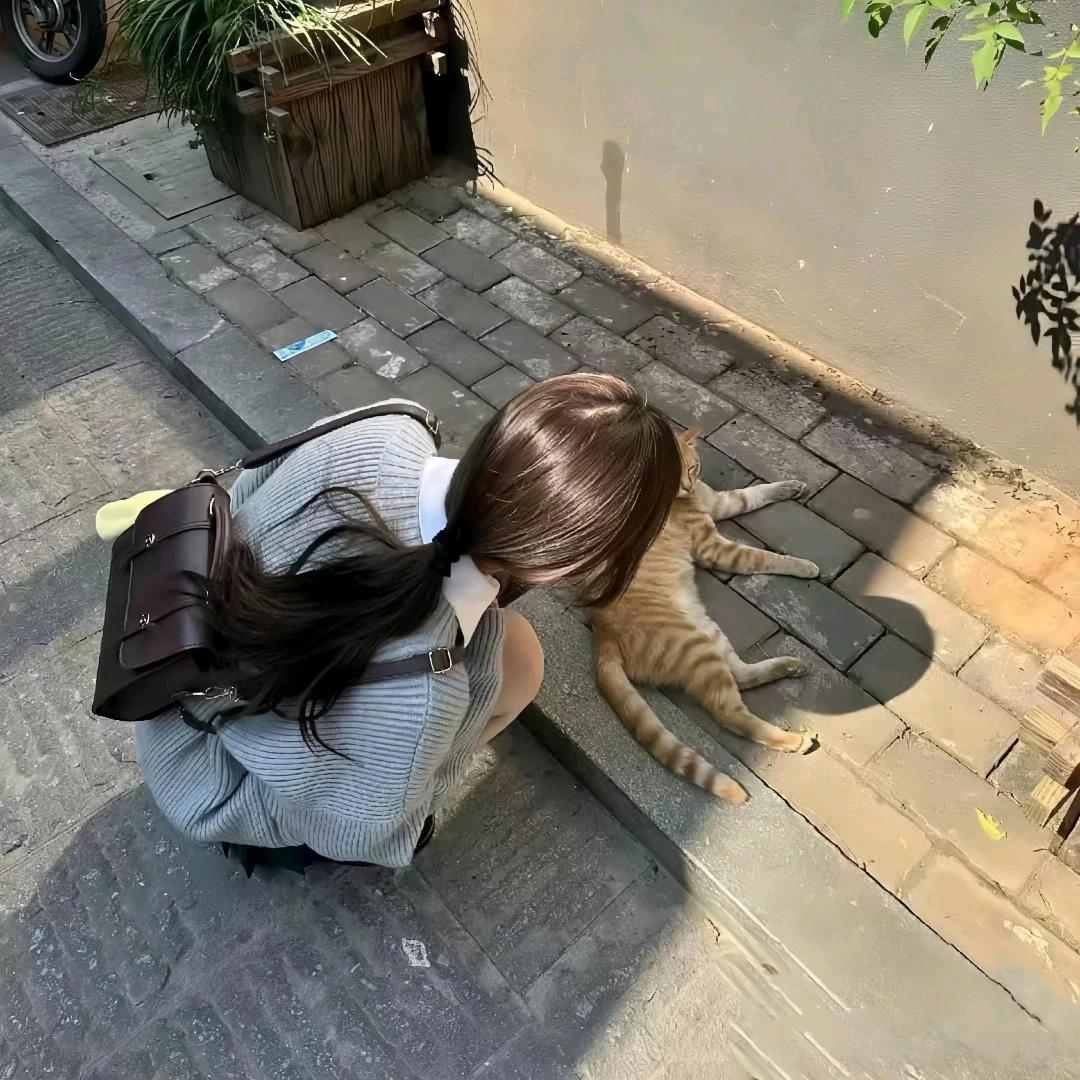 檐下猫