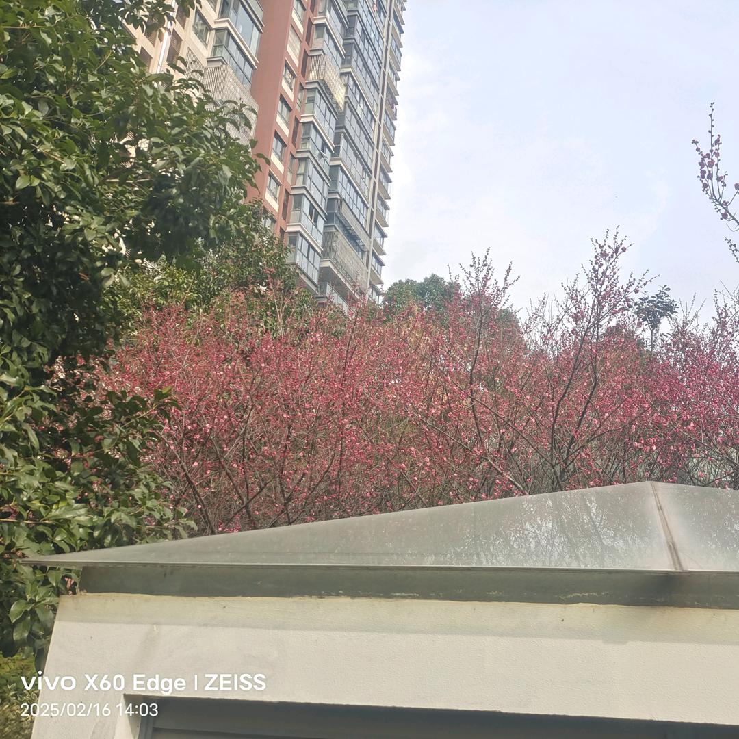 幸福满满