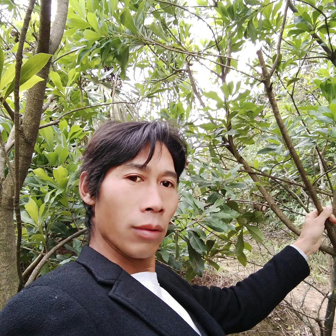 吴心