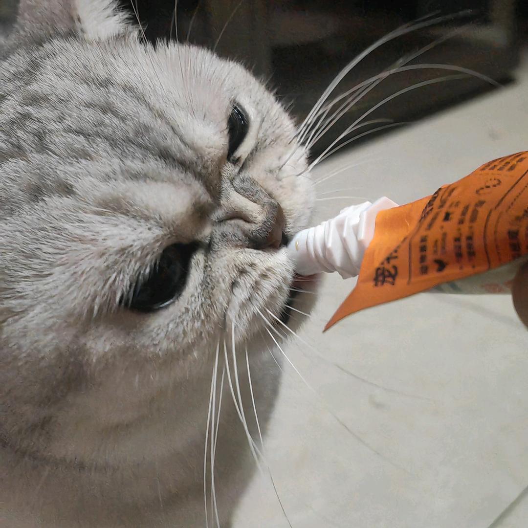 卖女孩的小茶叶9527