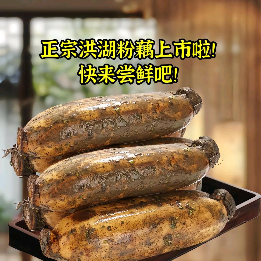 洪湖莲藕土特产