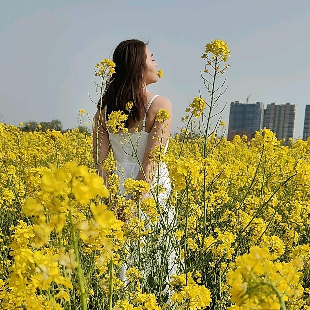 女神不讲李(好物在橱窗)