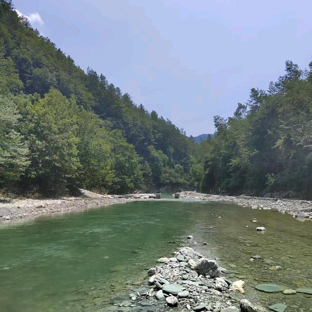 陈风🕵‍♂️破浪