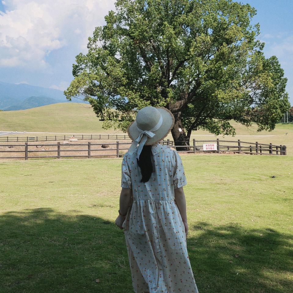 偶然的云朵☁️