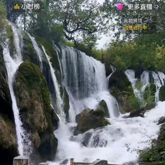 @心之所往#悠闲看风景