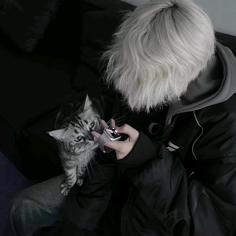 鱼仔（奋斗版）