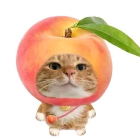 摸鱼的大辣条