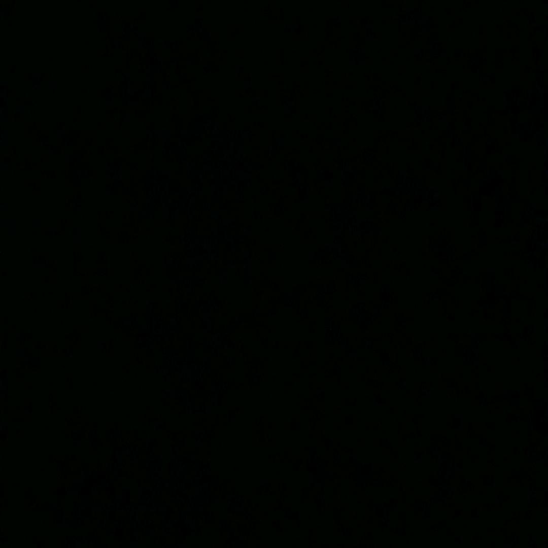 黑皇