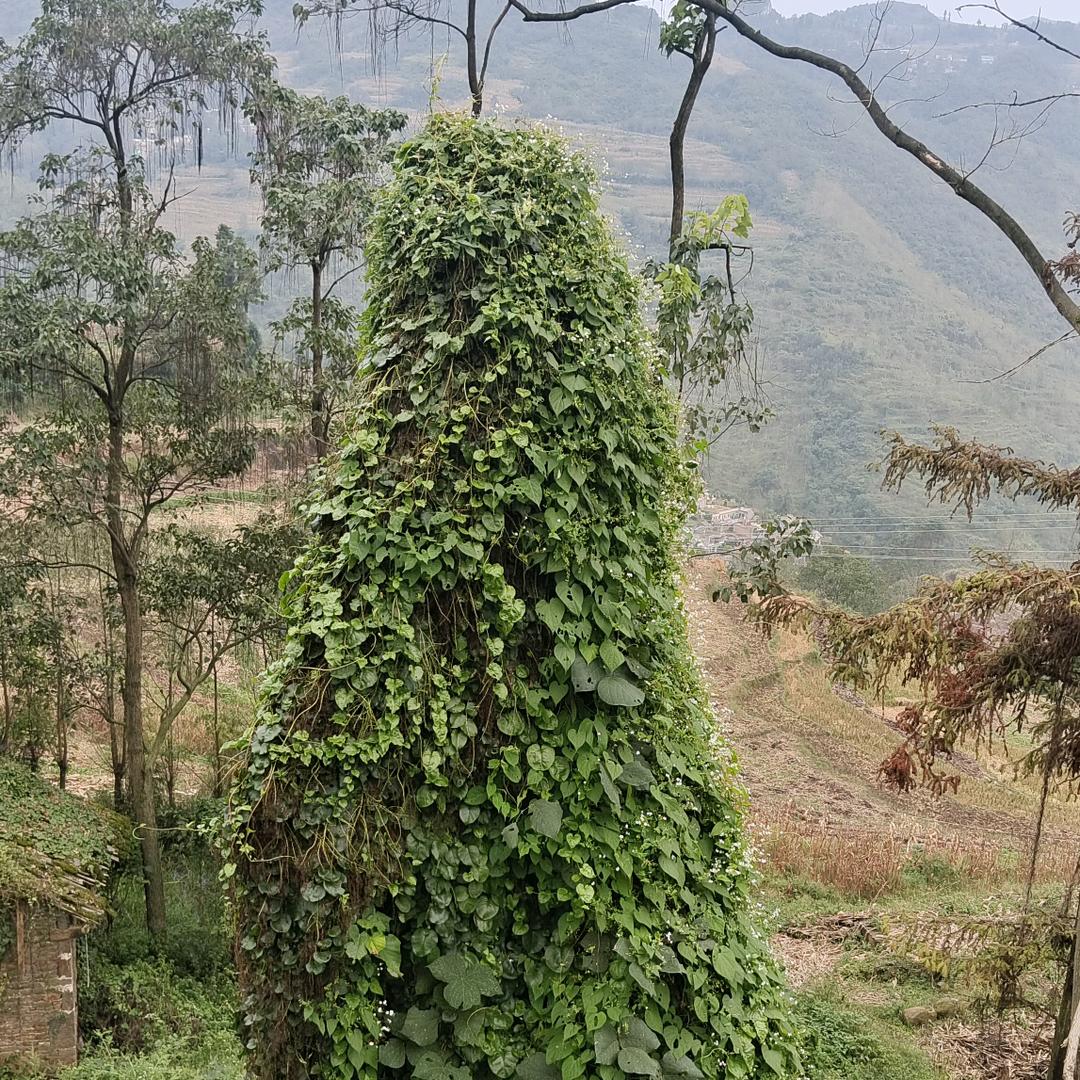 ℳ❥ 風影༊ღ᭄