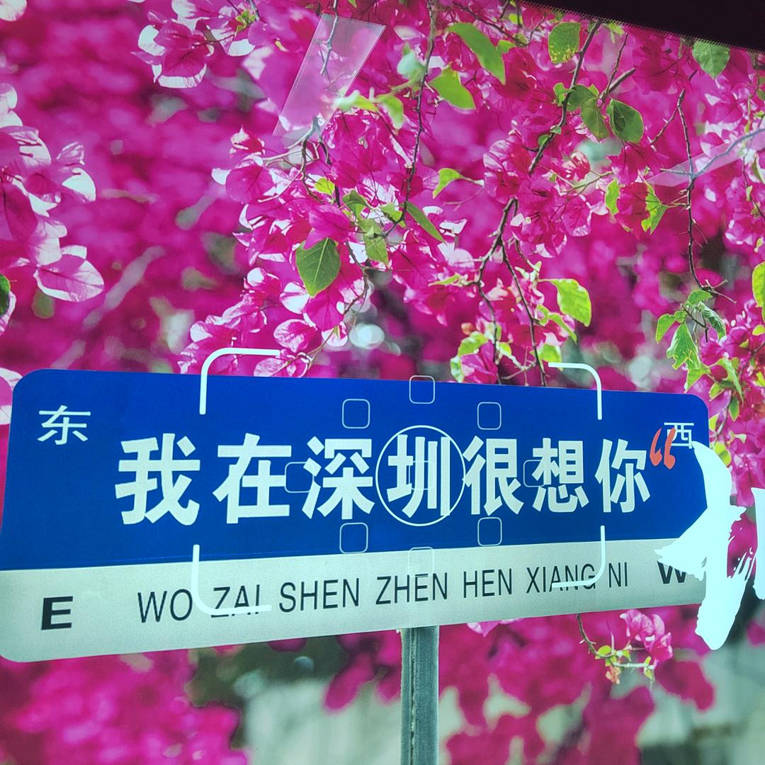 🌸与你有缘🌸