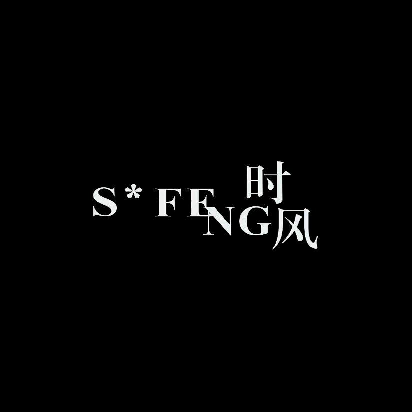 时风国际S*FENG