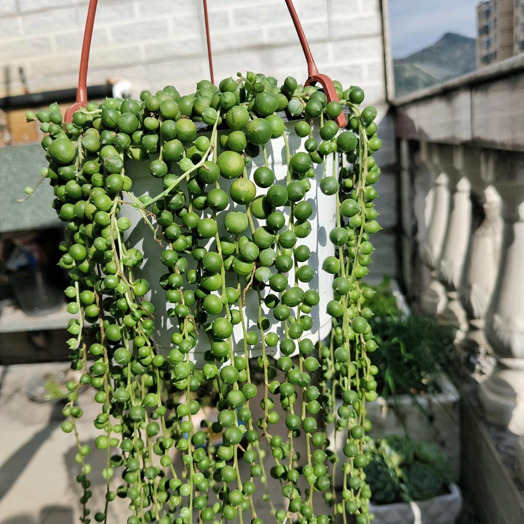享受简单