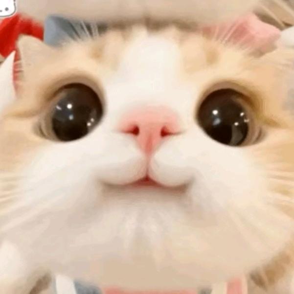 小屋饰光（的小尾巴）