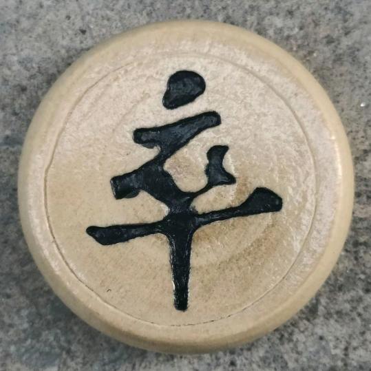 以身入局