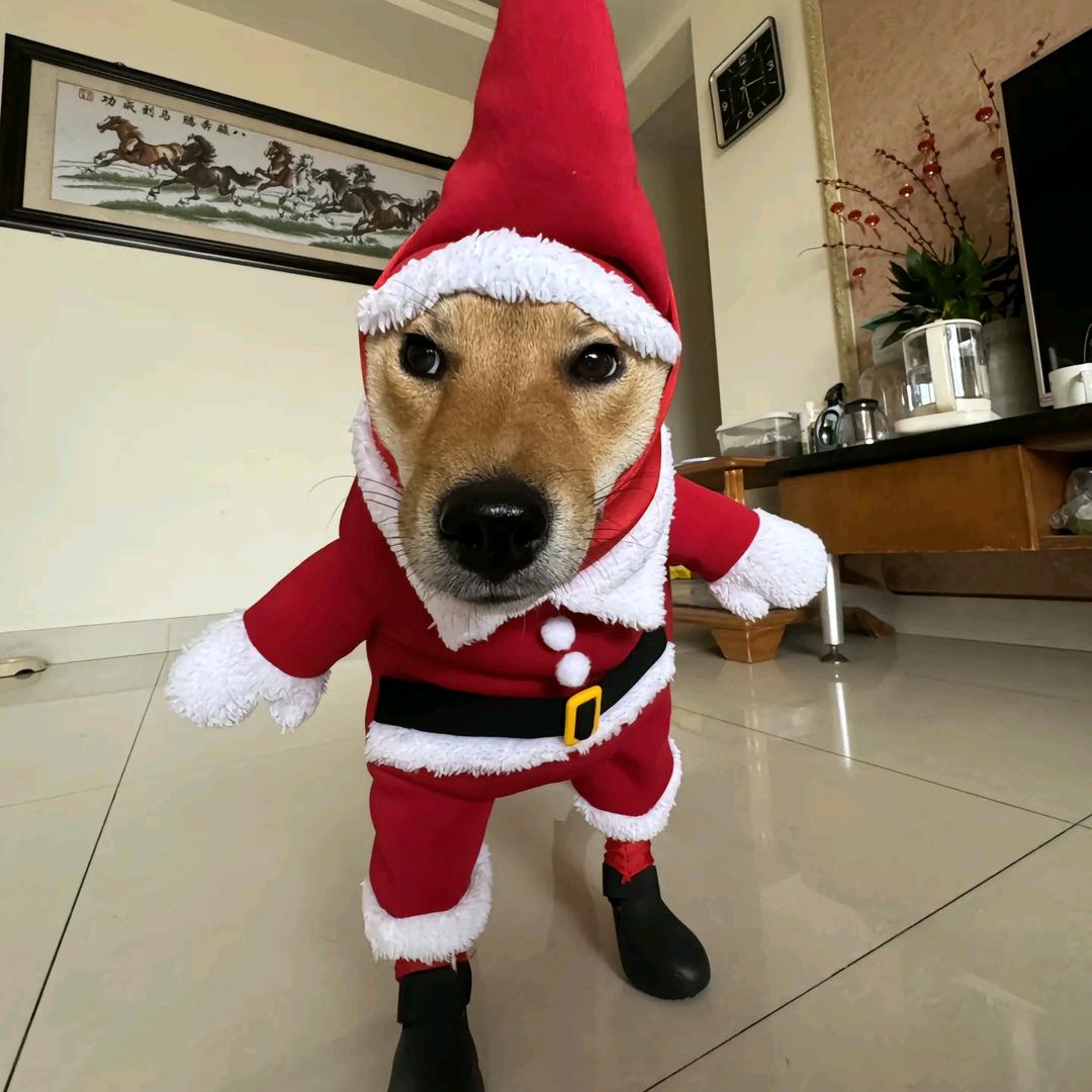 我说大残是大狙一枪死