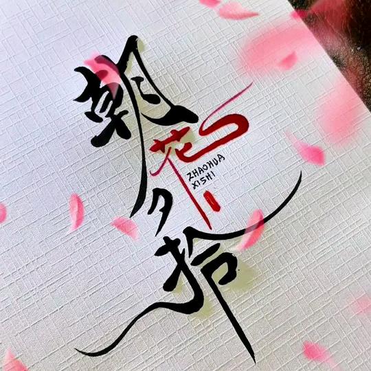 白合潮壳铺