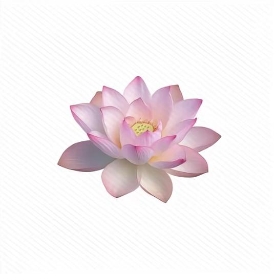是yi不是yu