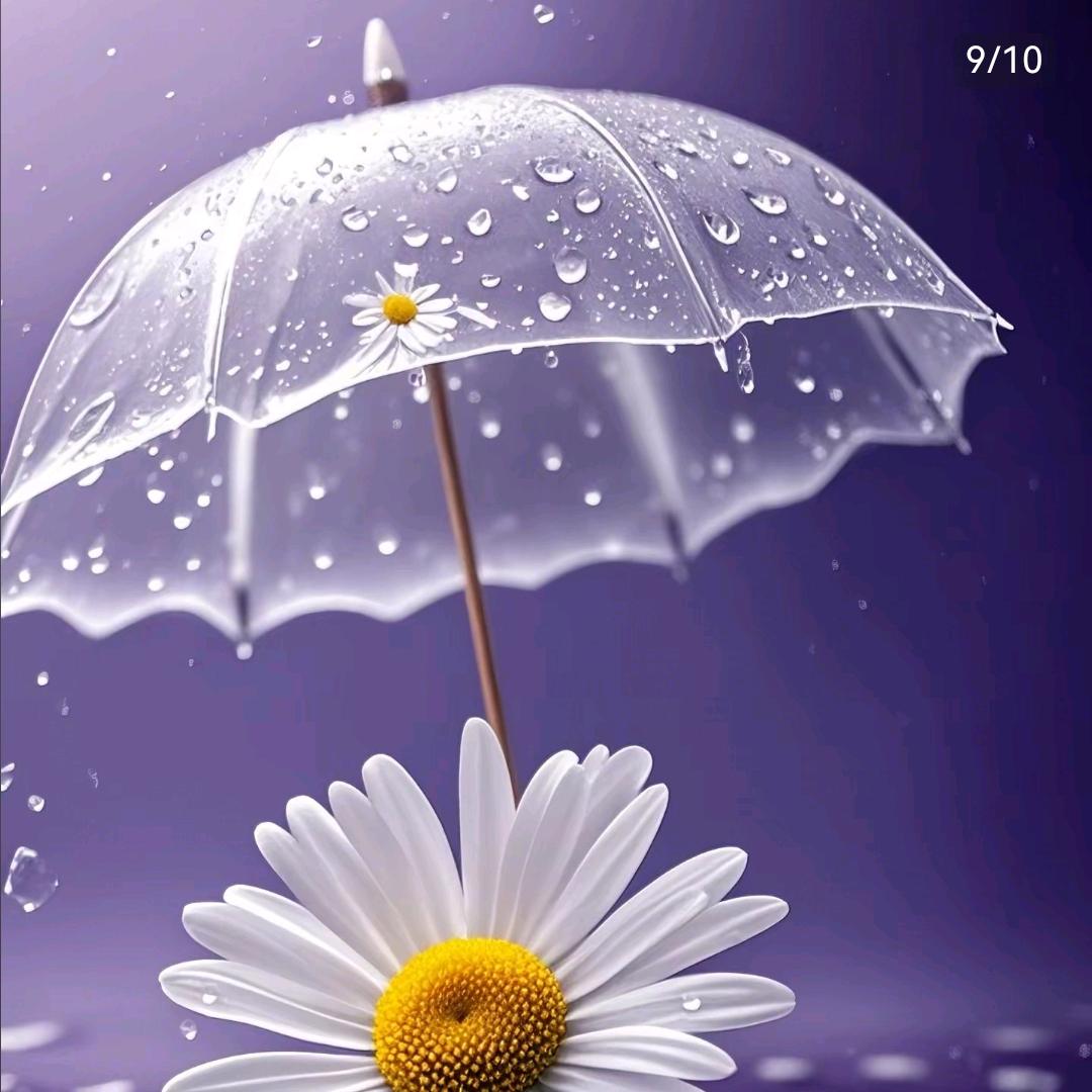 水中月