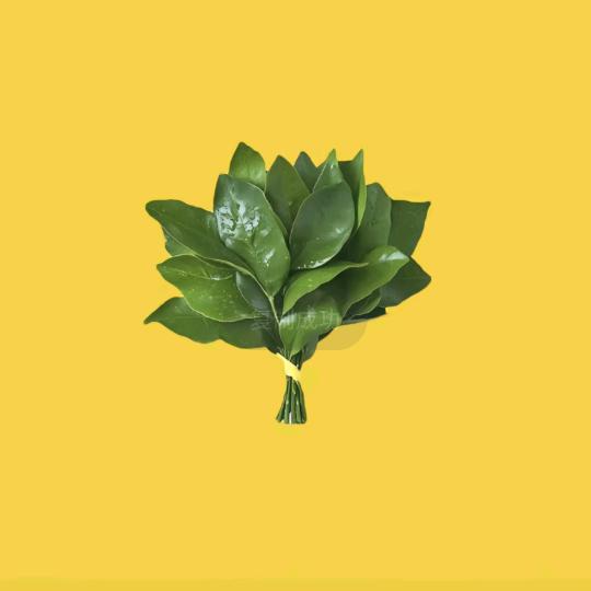 江沺汐