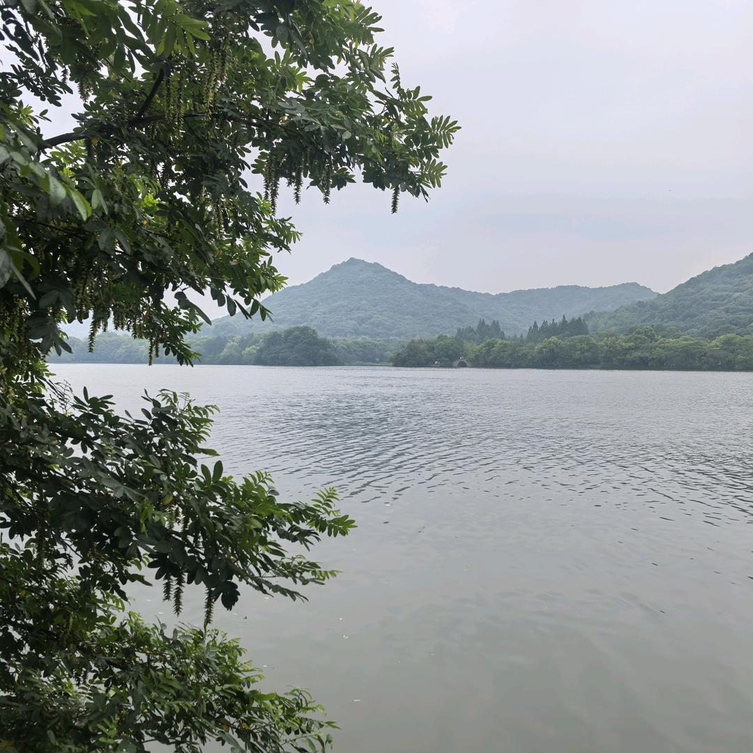 🍀晨曦💕🎄沐歌🍄