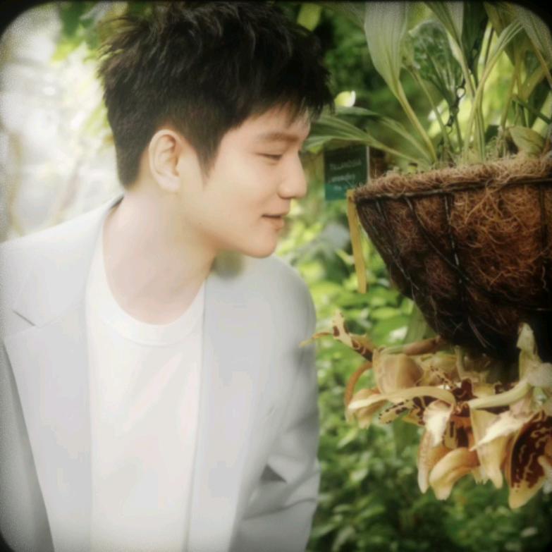 小三不说爱（樊振东同框版）